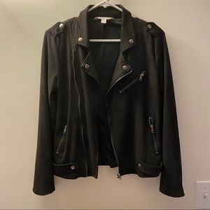 NWOT Market & Spruce Black Suede Moto Jacket